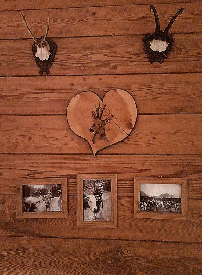 Berggasthof Karntner Alm 호텔 미텐발트 외부 사진